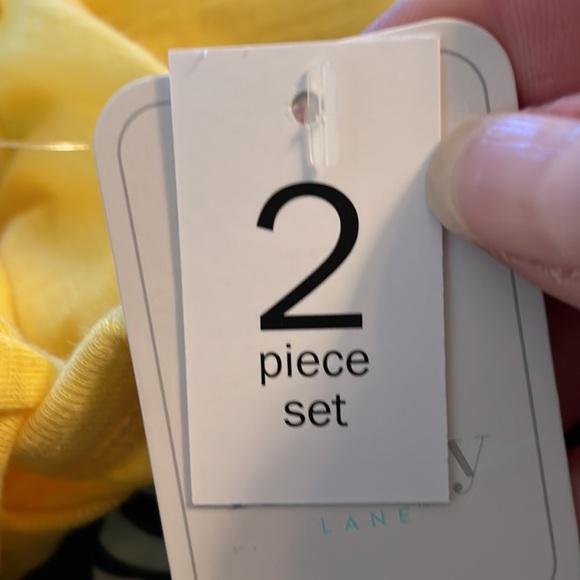 Two Piece Iguana Outfit - Picture 8 of 12